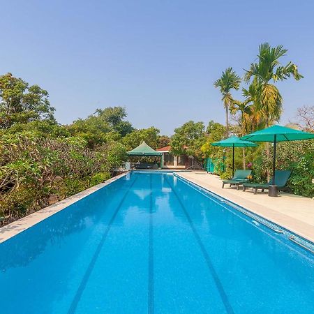 Stayvista'S Casa Palmera - Pet-Friendly Villa With Pool, Garden With Gazebo, And Indoor & Outdoor Games Алибаг Экстерьер фото